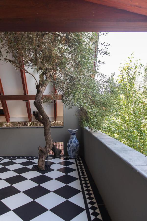 Bella Blue Guesthouse Bloemfontein Extérieur photo